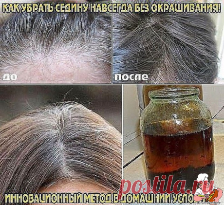 Веб Повар!: КАК УБРАТЬ СЕДИНУ НАВСЕГДА БЕЗ ОКРАШИВАНИЯ!