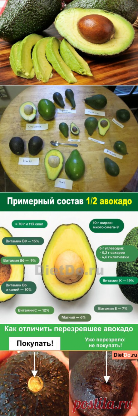 Авокадо — польза и вред для организма, состав, как чистить, готовить и хранить. Грамотные обзоры пользы и вреда продуктов от DietDo.ru!
