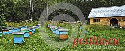 On The Mountain Apiary Stock Photo - Image: 93198279