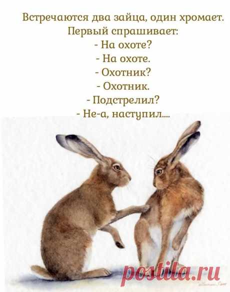 Выпуск №6439 - выпуск анекдотов сайта вокруг смеха