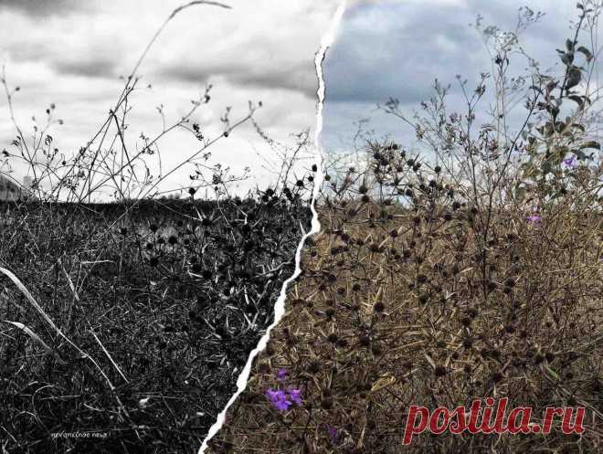 Как противостоять ретроградному Меркурию
Для тех, кто не курсе (но уже прочувствовал на себе, что «что-то не то 😉) сообщаю, что 27 сентября начал свое ретроградное движение наш любимый Меркурий) Ретроградный Меркурий — притча во языцех. Хотя, на самом деле, у каждой планеты в ее обратном движении есть нюансы. И не всегда приятные. Но вот почему-то к Меркурию отношение […]
Читай пост далее на сайте. Жми ⏫ссылку выше