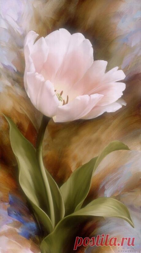 i (500×900)