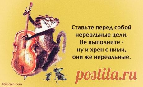 Правильная философия – Фитнес для мозга