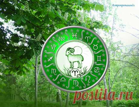 Реализуйте свои способности. Гороскоп для Овна с 3 по 31 мая 2021 | Астропропаганда | Яндекс Дзен
♈✨ Автор: астролог Нина Стрелкова. ✧ У вас могут появиться новые интересы и новые знакомства. Вы будете привлекать к себе больше внимания, особенно во второй половине месяца. И сами вы будете больше тянуться к людям. Хотя многим Овнам будет хорошо и в собственном доме, если они найдут там возможность для реализации своих способностей.