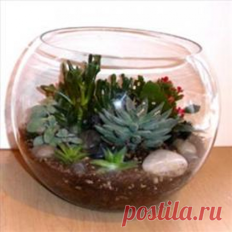 Цветочные горшки — многообразие выбора