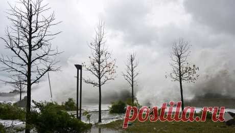 Режим ЧС введен из-за шторма на территории 10 муниципалитетов Крыма. Режим чрезвычайной ситуации введен из-за шторма на территории 10 муниципальных образований Крыма, еще в трех муниципалитетах установлен режим угрозы ЧС. Об этом сообщил глава Крыма Сергей Аксенов в своем Telegram-канале. Режим ЧС был ...