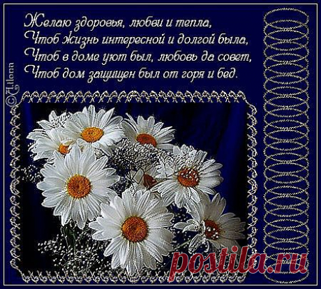 (1) Одноклассники