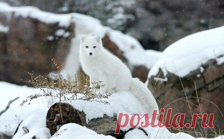 ТАМАРА КОЛИНЧЕНКО - Киев, Украина на Мой Мир@Mail.ru