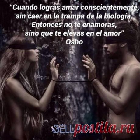 cuando logras amar conscientemente - Búsqueda de Google