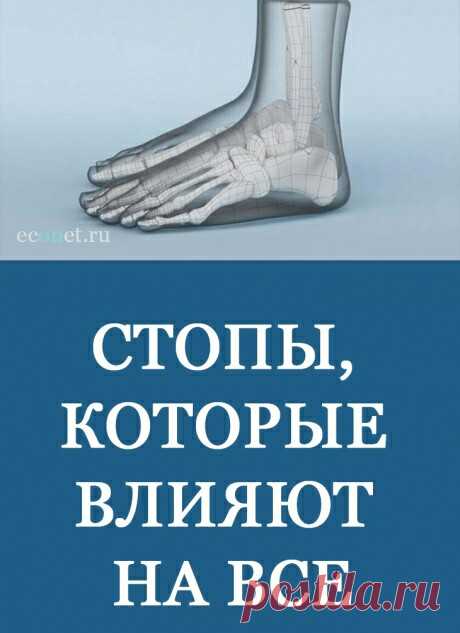 Стопы, которые влияют на всё... Мы постоянно опираемся на стопу, и если эта опора несимметричная, неправильная, все, что находится выше нее, начинает разрушаться! Состояние стопы имеет настолько важное значение в здоровье человека, что все усилия, направленные на наращивание мышц, могут быть бесполезны, если есть проблемы,...