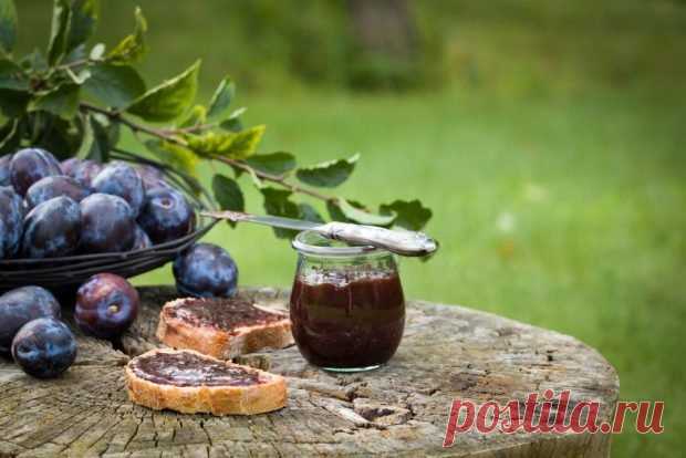 Нутелла из сливы с какао на зиму — Домашняя кулинария