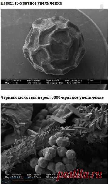 Повседневные вещи под микроскопом / Интересное в IT