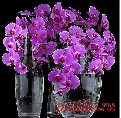 Каждый человек хочет быть здоровым красивым, активным, полным сил, состоятельным и надолго отодвинуть старость - это возможно!  Приходите к нам , ВАМ  поможем разобраться и улучшить свое здоровье на информационной встрече "Как сохранить и укрепить свое здоровье" Регистрация по ссылке