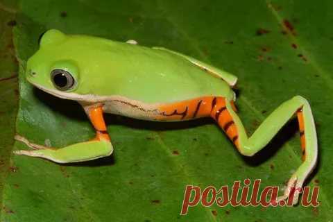 страницы которые создавались константина валерьевича сосницкого краснодар: 10 тыс изображений найдено в Яндекс.Картинках