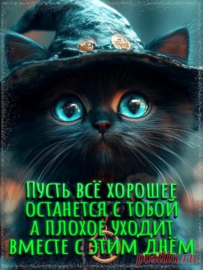 Картинка спокойной ночи с пожеланием и котиком