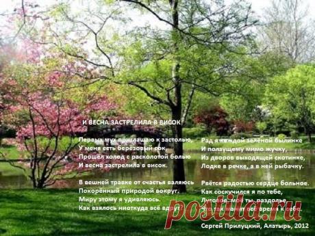 И весна застрелила в висок (стихи)