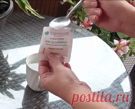 Борная кислота для огурцов: применение, в том числе опрыскивание для завязи, отзывы