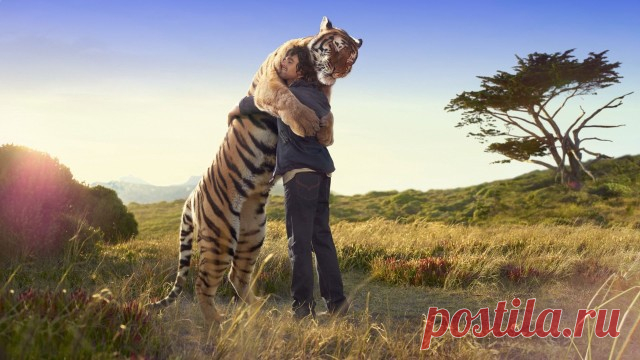 Как найти себя и свое призвание » Notagram.ru 5 тезисов о том, что на самом деле нужно понимать о устройстве жизни. Как понять свое призвание и найти себя в жизни. Рациональный взгляд на себя.