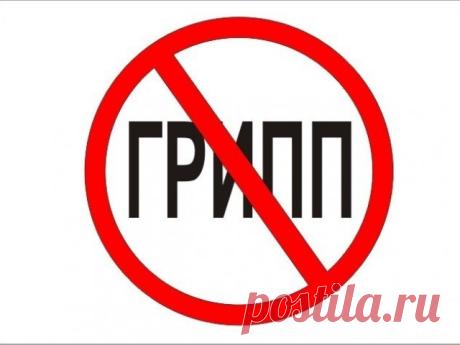 Грипп: Малышева против Онищенко — Болтай