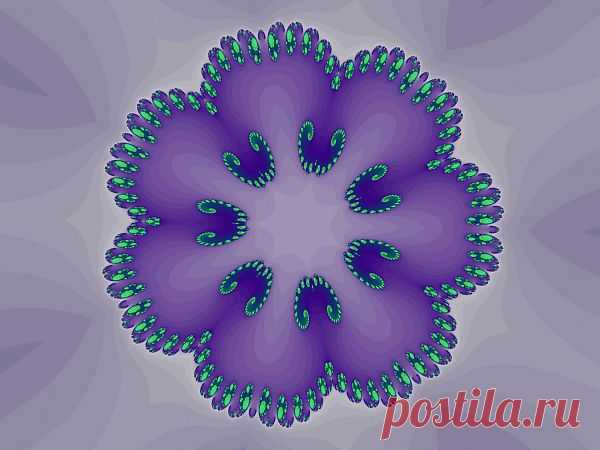 Digital Fractal Flower  Free Stock Photo HD - Public Domain Pictures