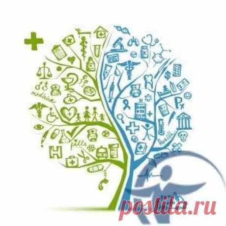 Социальные гарантии РФ: Кто может пройти диспансеризацию в 2015 году по полису обязательного медицинского страхования (ОМС)