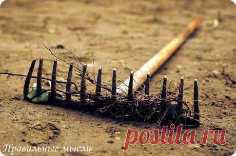 Ничто не является ошибкой, если только не становится привычкой / Восприятие бизнеса