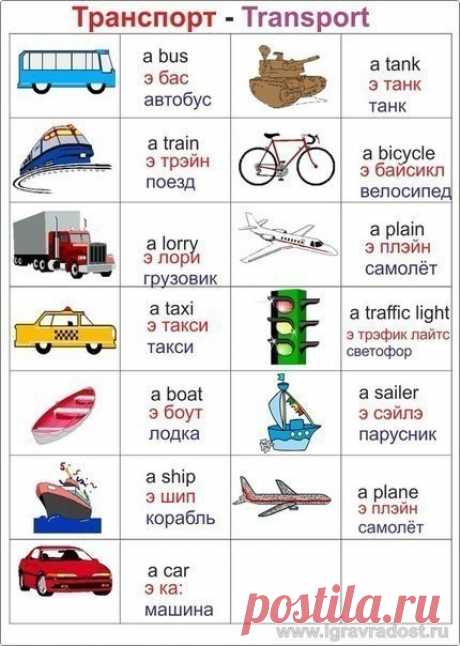 (24) Одноклассники