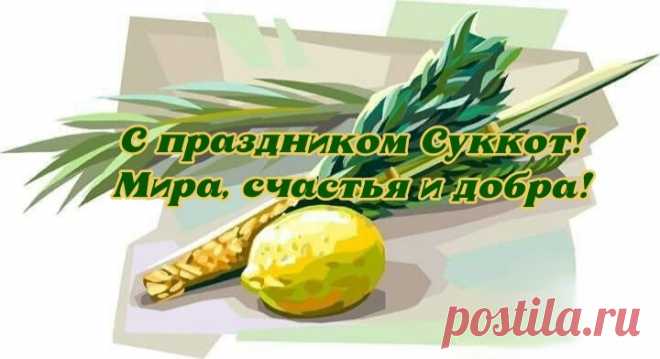 Вступая в дни особой радости небесной,
Которой Бог одаривает свой народ,
Я поздравления шлю с праздником прелестным:
Друзья любимые, со временем Суккот!