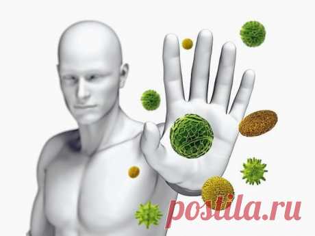 Кратковременное голодание перезапускает иммунную систему и восстанавливает организм