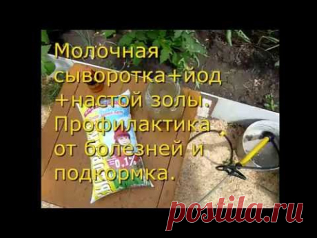 СУПЕР! Подкормка растений и профилактика болезней. СЫВОРОТКА МОЛОЧНАЯ, ЙОД, ЗОЛА ДЛЯ ОГОРОДА.