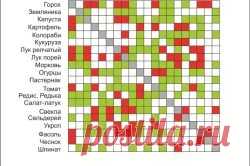 Правильно посадка помидор в теплице | Вырасти сад!