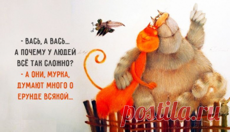 КотоВасия