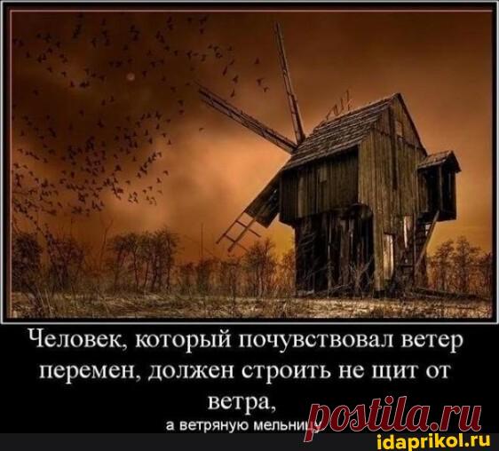 Человек, который почувствовал ветер перемен, должен строить не щит от ветра, 'а ветряную мельницу. - АйДаПрикол