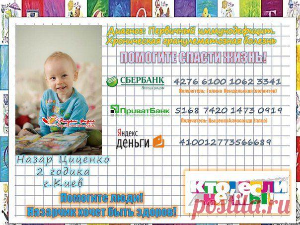 РИСУЕМ ЖИЗНЬ! Назар Цыценко. Срочный сбор!