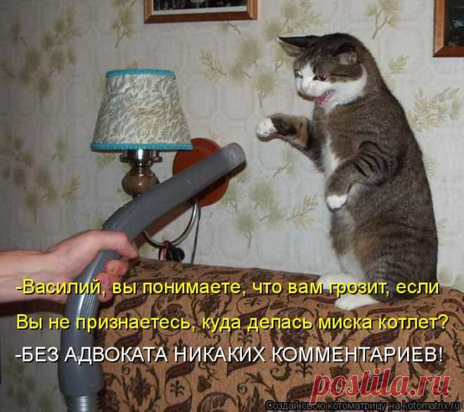 kotomatritsa_y.jpg (Изображение JPEG, 750 × 666 пикселов)