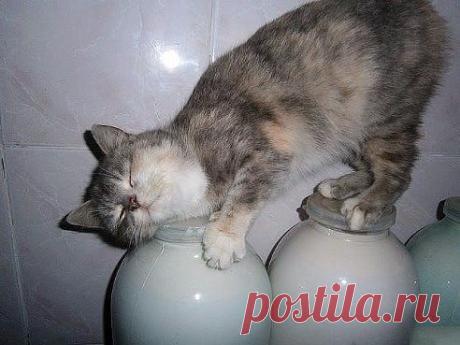 Счастье есть!