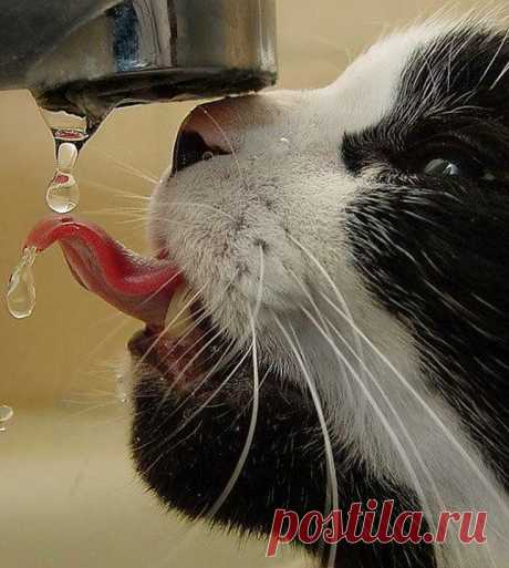 Fashion Top Clothing: Slurrrrp!