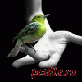 Питание онкобольных. Метод Евгения Лебедева. | Записи в рубрике Питание онкобольных. Метод Евгения Лебедева. | ДСТ терапия доктора Кутушова. Дневник пациентки.