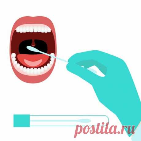 Как диагностировать уставшие надпочечники? | Щедрый блог🙇‍♀НУТРИЦИОЛОГА | Яндекс Дзен