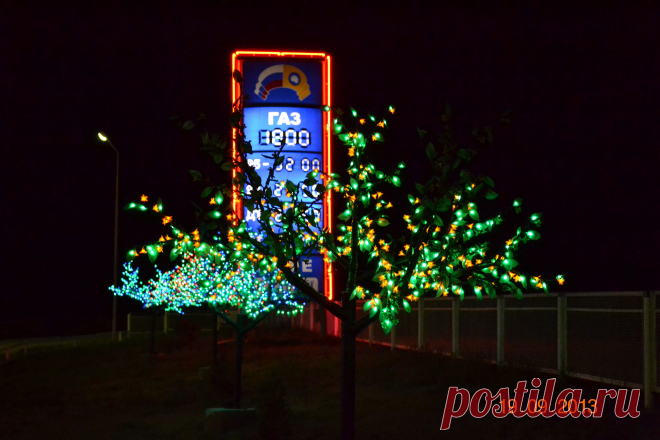 Сказочная ночь