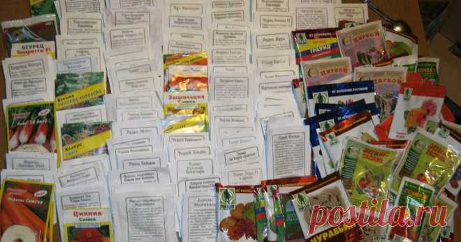 Мартовские посевы как правильно вырастить сохранить цветы