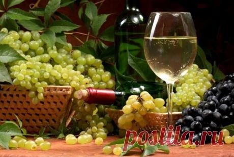 Из какого винограда лучшее вино Из какого винограда получится лучшее вино, зависит от региона – в виноделии используют