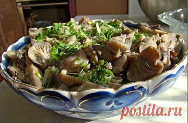 Вешенки в домашних условиях - рецепт с фото на Повар.ру