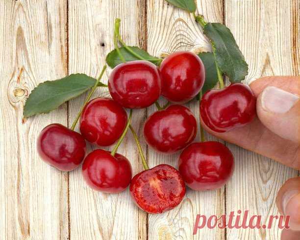 Уникальная вишня Кармин Джевел

 Нашему объединению хотелось бы, чтобы каждый садовод попробовал вырастить эту вишню на своем участке. Мякоть этих вишен по-настоящему богатого сладкого вкуса, с содержанием сахаров на уровне 14% по шкале Брикса. Забудьте о терпкости — здесь только наслаждение и аромат!
Плоды этой вишни крупные (4-5 г), окрашены в пурпурно-красный цвет и буквально лопаются от сочности. Косточка маленькая, так что вы получите ещё больше мякоти. Созревание про...