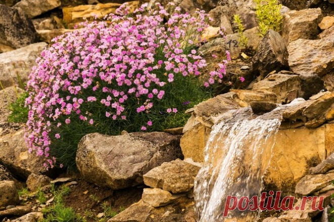 Как сделать альпийскую горку своими руками: этапы строительства, фото