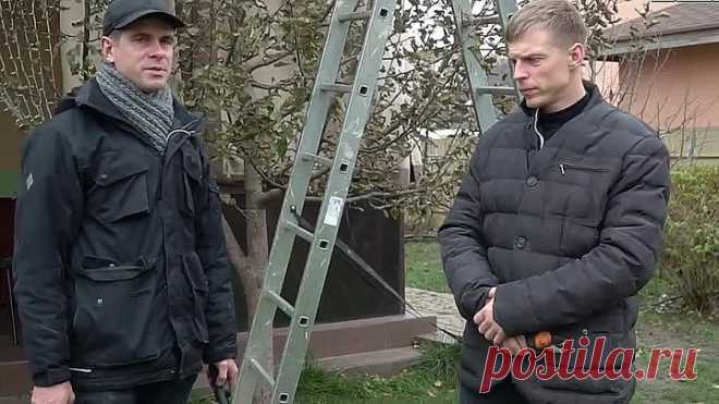 Английская обрезка дерева. Завязей образовывается в 3 раза больше!