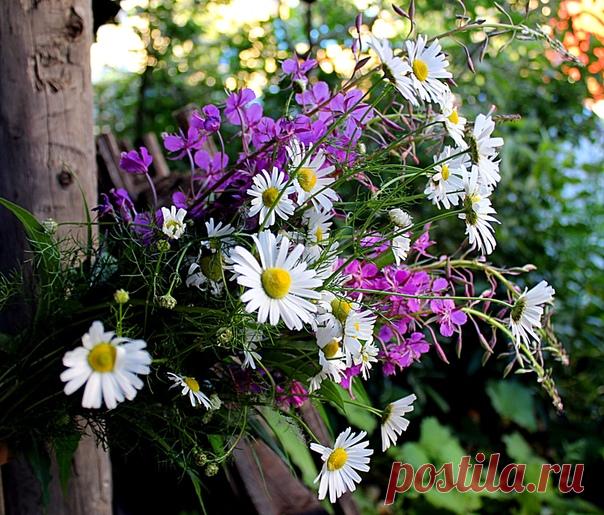 20 Июля 2018 г. – Пятница • Международный день торта • Праздник губошлепов • День хождения по бордюрам • Международный день шахмат (International Chess Day)52 года • День независимости - Колумбия208 лет • День Мира и Свободы - Северный Кипр • День Национальной гвардии - Кыргызстан • Национальный день леденцов на палочке - США • Национальный день печенья с предсказанием - США • День друга - Аргентина, Бразилия, Эквадор, Уругвай • День союза лаосских женщин • День Лемпиры - Гондурас • Именины у…