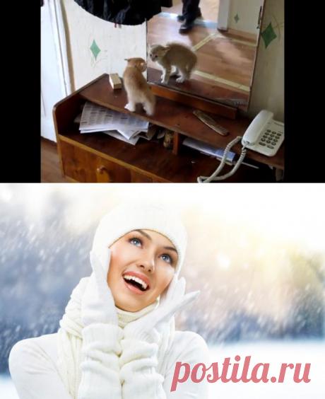 Хотя зима уже на исходе ,.... но я думаю , что эти знания вам пригодятся в будущем! Уход за кожей зимой: мифы и факты.