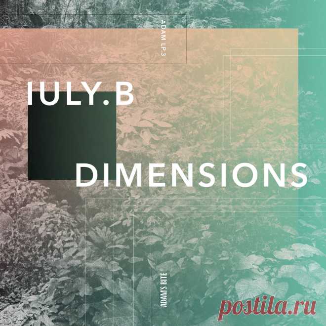 IULY.B - Dimensions ADAMLP003 » MinimalFreaks.co
