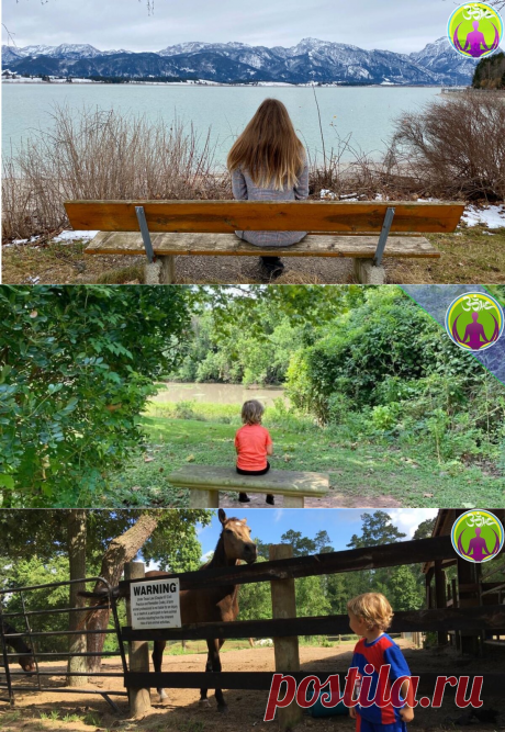 Природа моё всё, смотрю на неё, учусь и делаю выводы. | ЗОЖ путь изнутри вовне | Яндекс Дзен